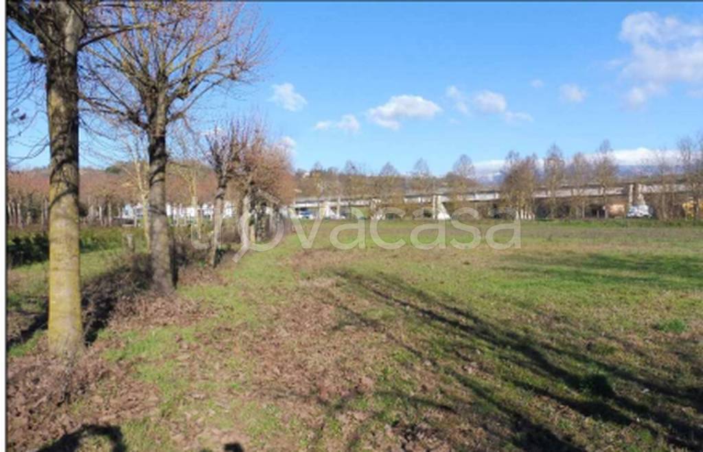 immagine annuncio 4 di 14