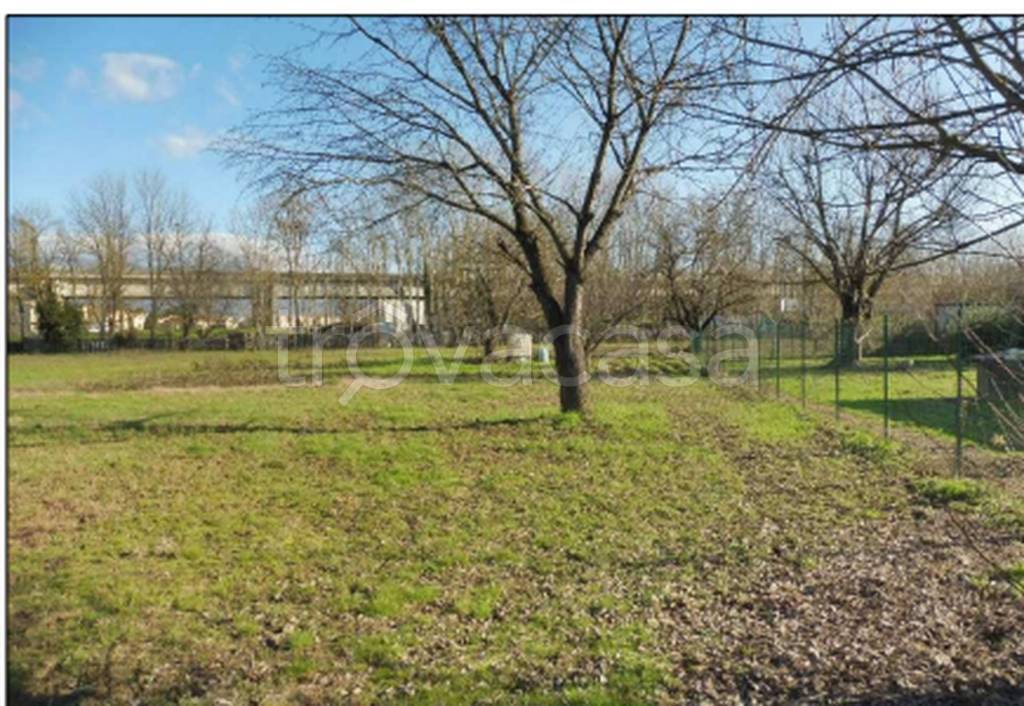 immagine annuncio 6 di 14