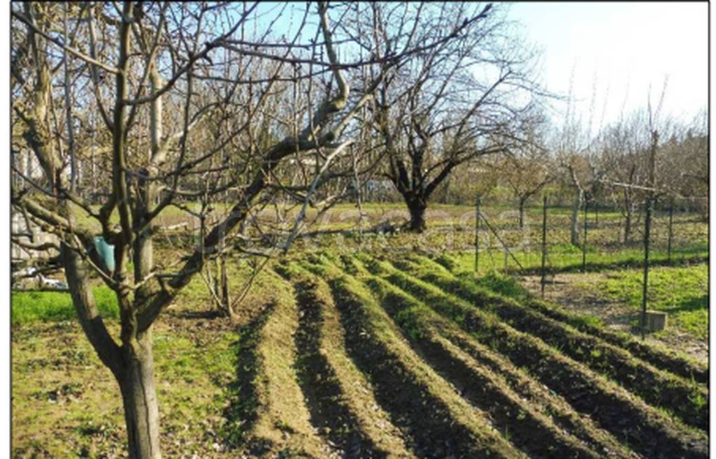 immagine annuncio 7 di 14