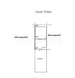 immagine annuncio 11 di 14