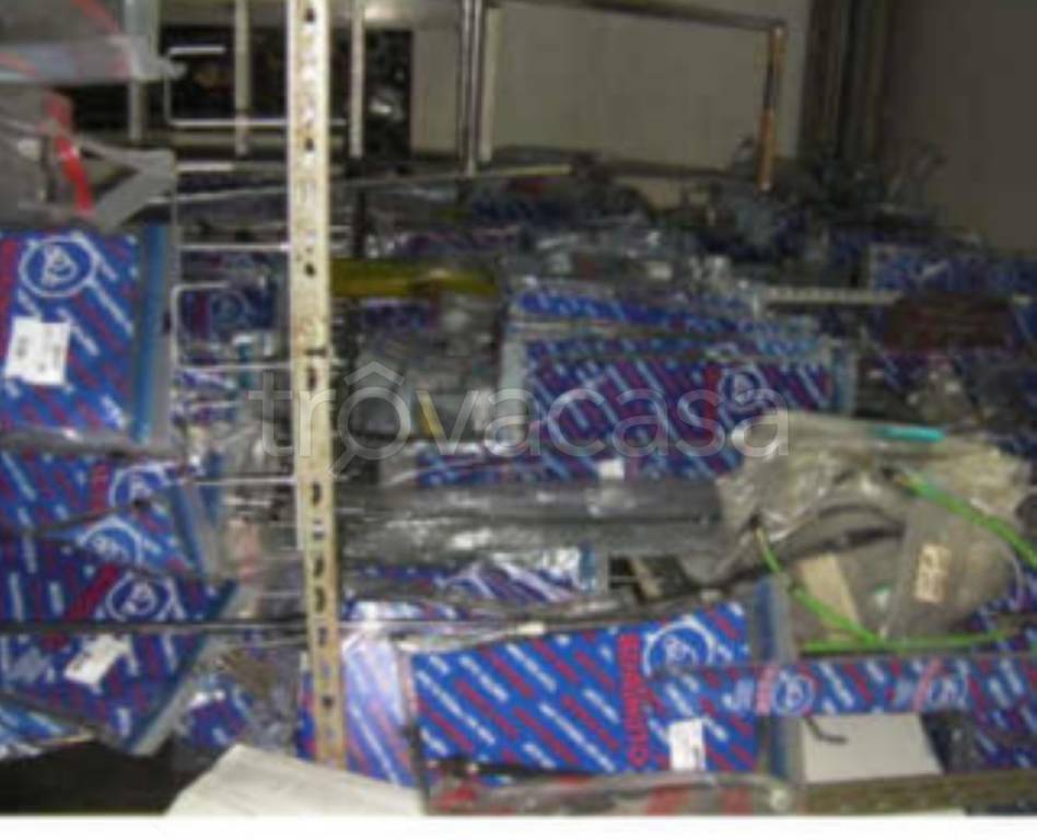 immagine annuncio 11 di 14