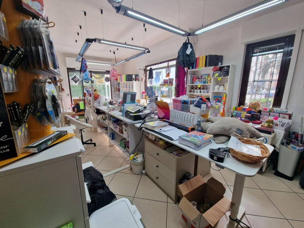 immagine annuncio 11 di 15