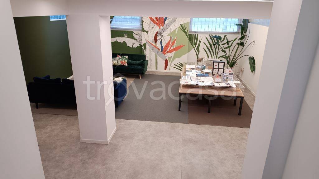 immagine annuncio 9 di 14