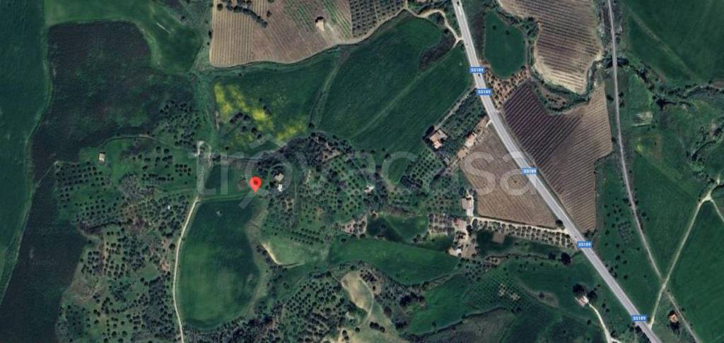 immagine annuncio 11 di 14