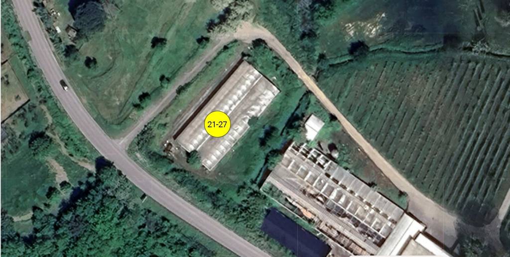 immagine annuncio 10 di 11