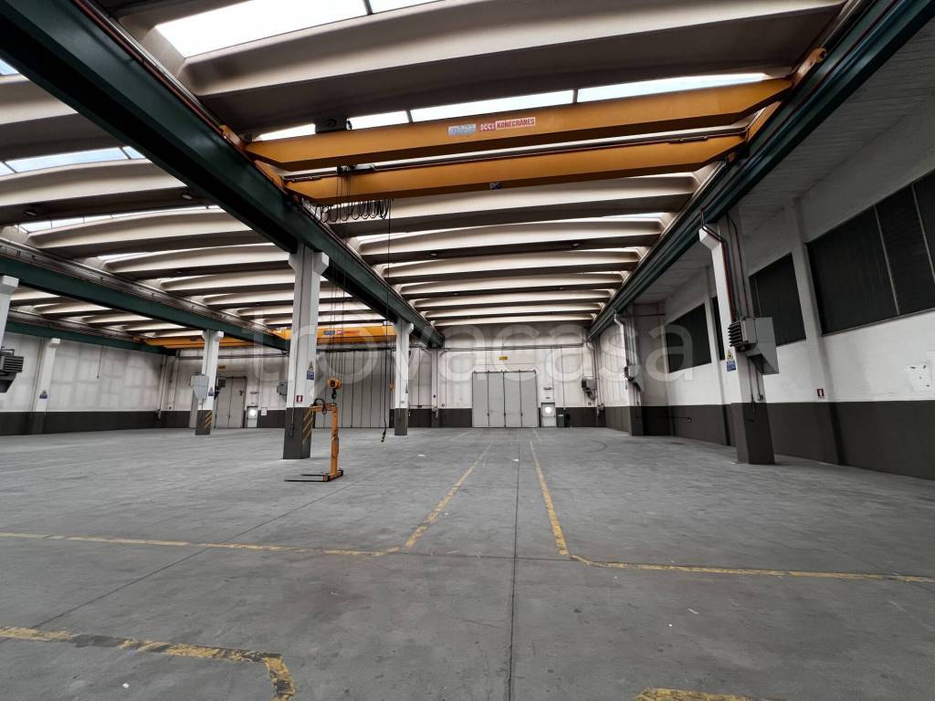 immagine annuncio 5 di 15