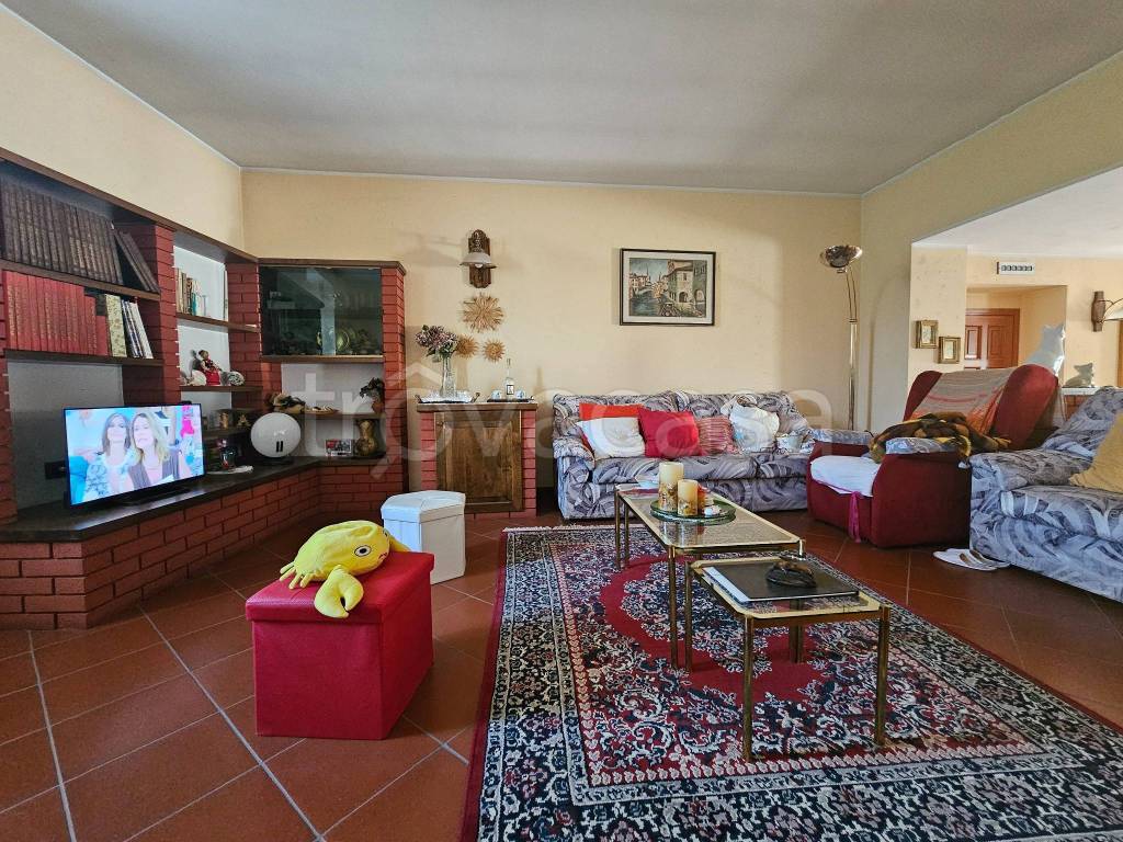 immagine annuncio 9 di 15