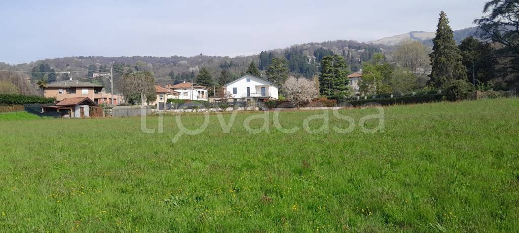 immagine annuncio 10 di 12