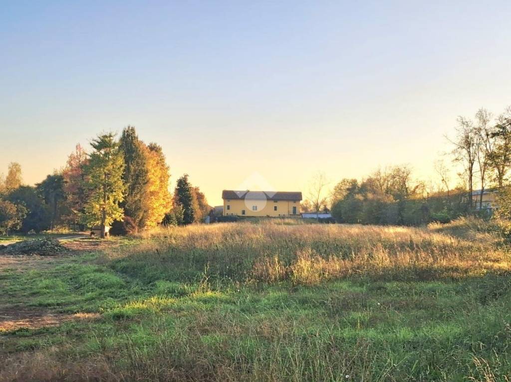 immagine annuncio 2 di 14