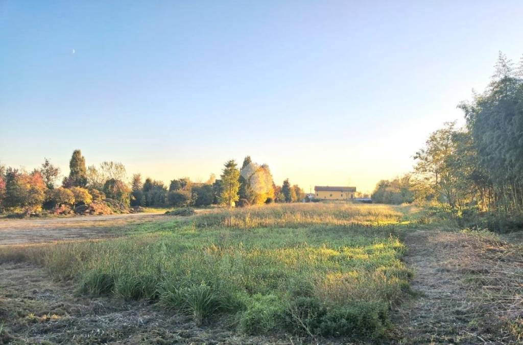 immagine annuncio 3 di 14