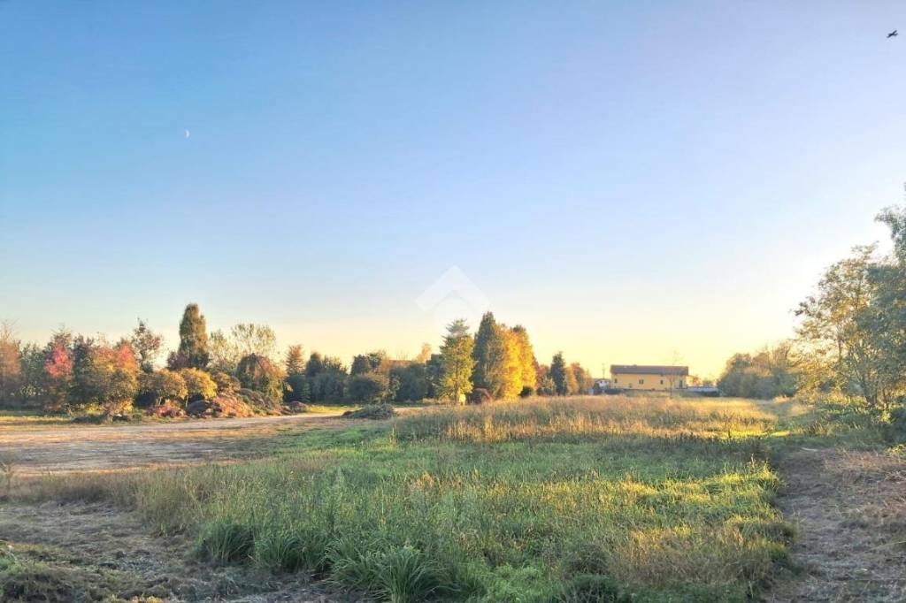 immagine annuncio 5 di 14