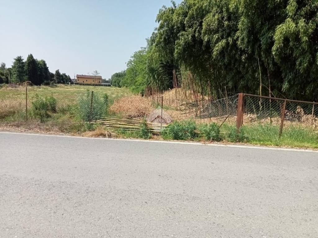 immagine annuncio 9 di 14