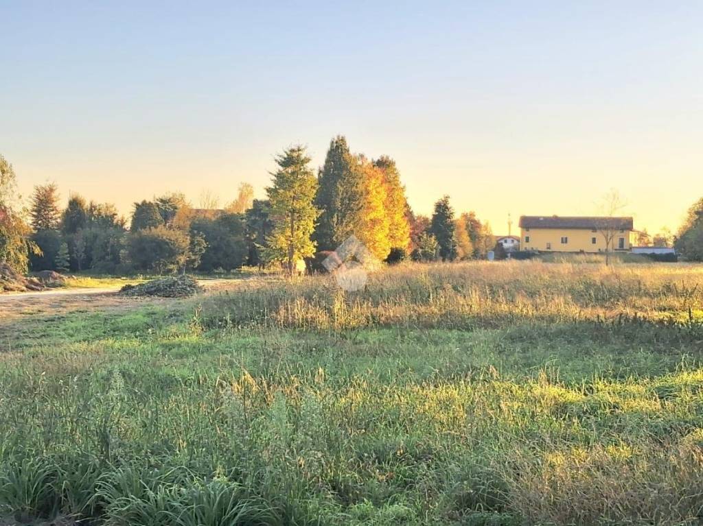 immagine annuncio 11 di 14