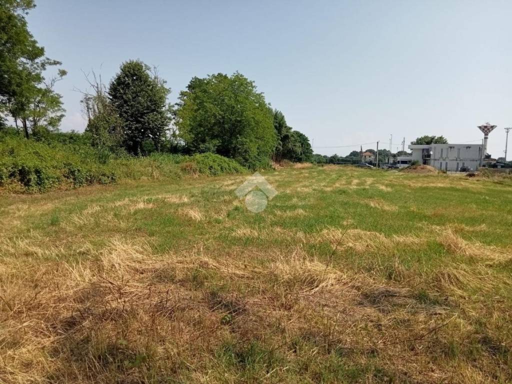 immagine annuncio 12 di 14