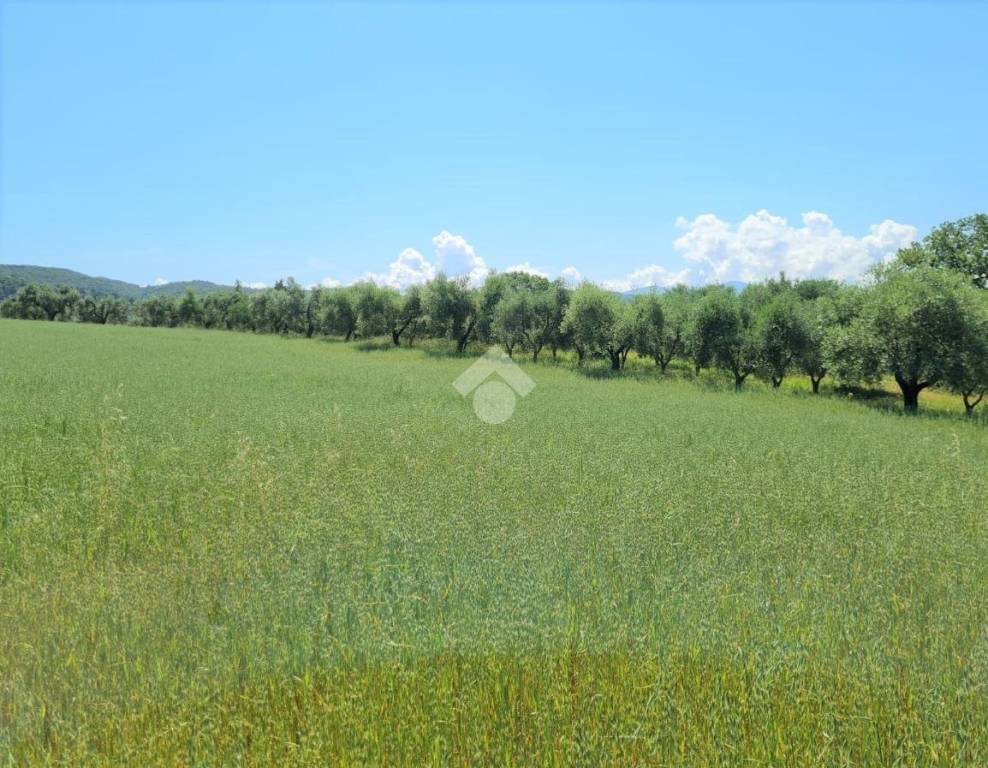 immagine annuncio 10 di 13