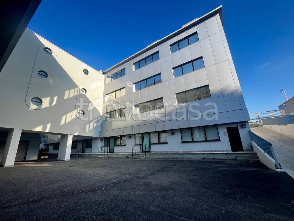 immagine annuncio 9 di 13