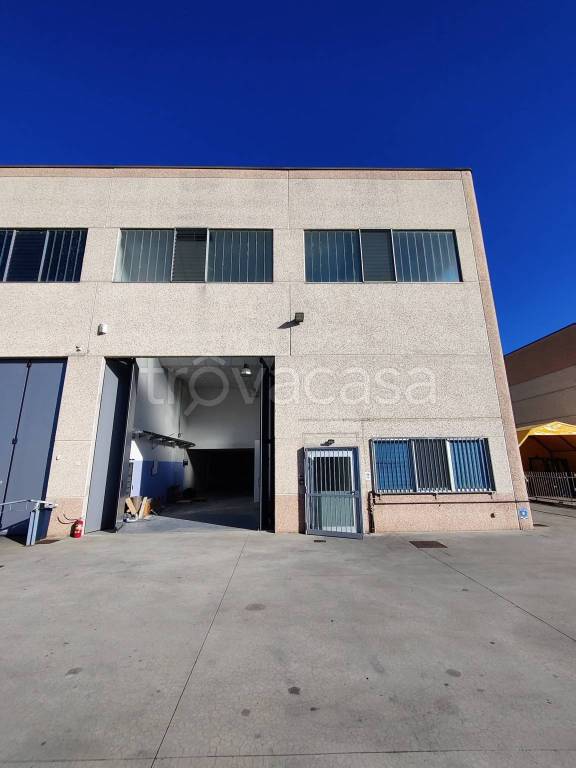 immagine annuncio 12 di 15