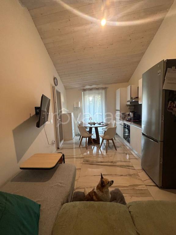 immagine annuncio 1 di 9