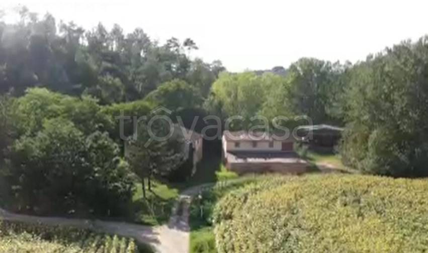 immagine annuncio 2 di 6