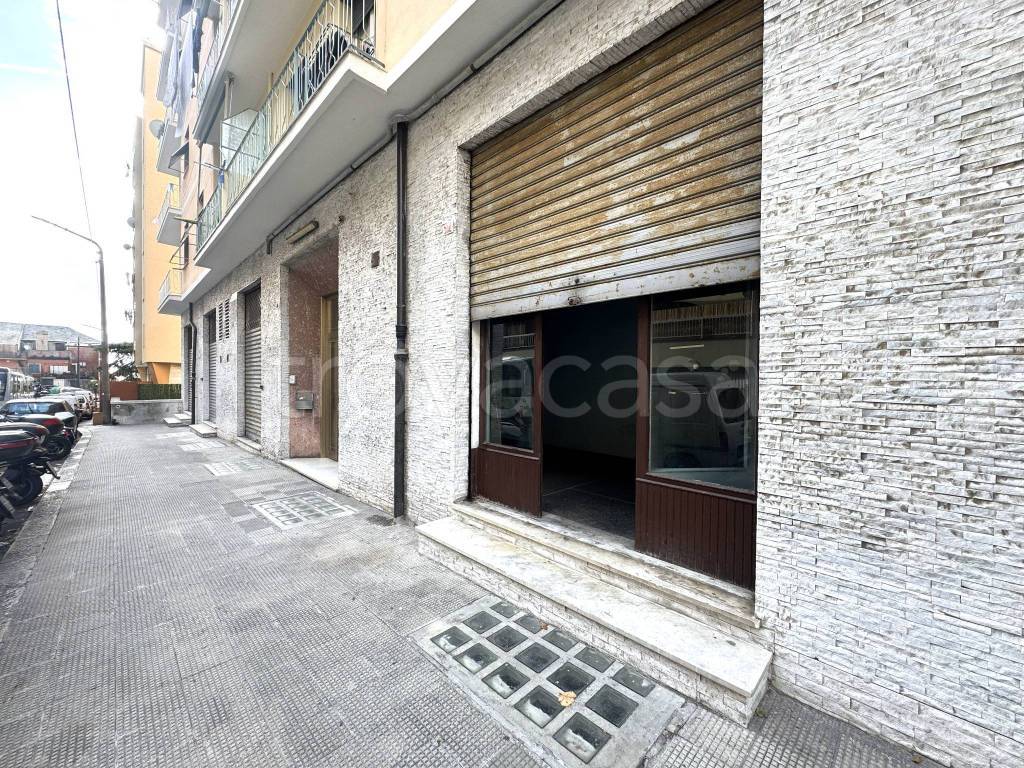 immagine annuncio 2 di 9