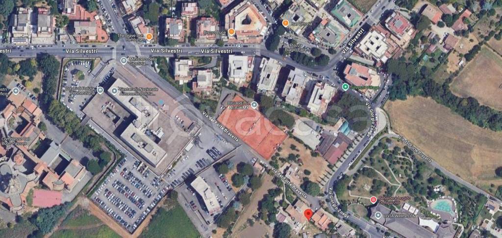 immagine annuncio 10 di 13