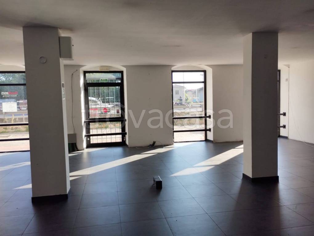 immagine annuncio 3 di 14