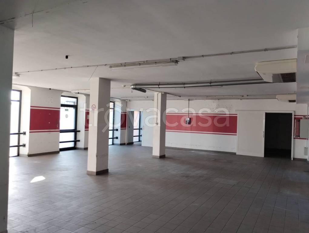 immagine annuncio 5 di 14