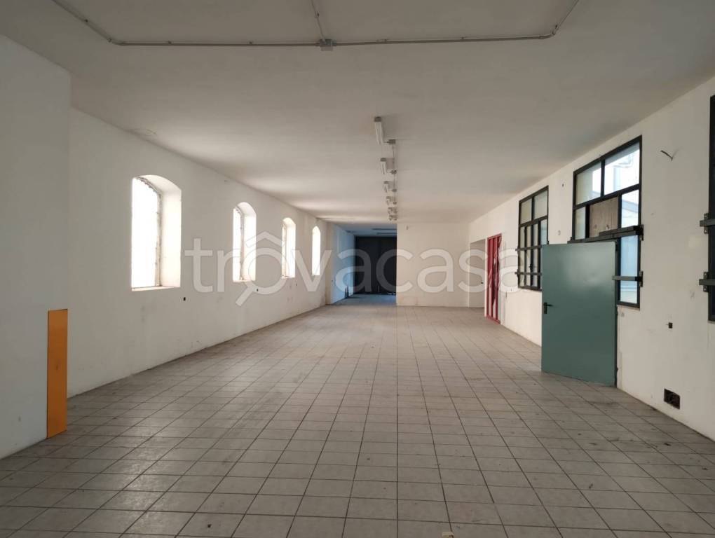 immagine annuncio 6 di 14