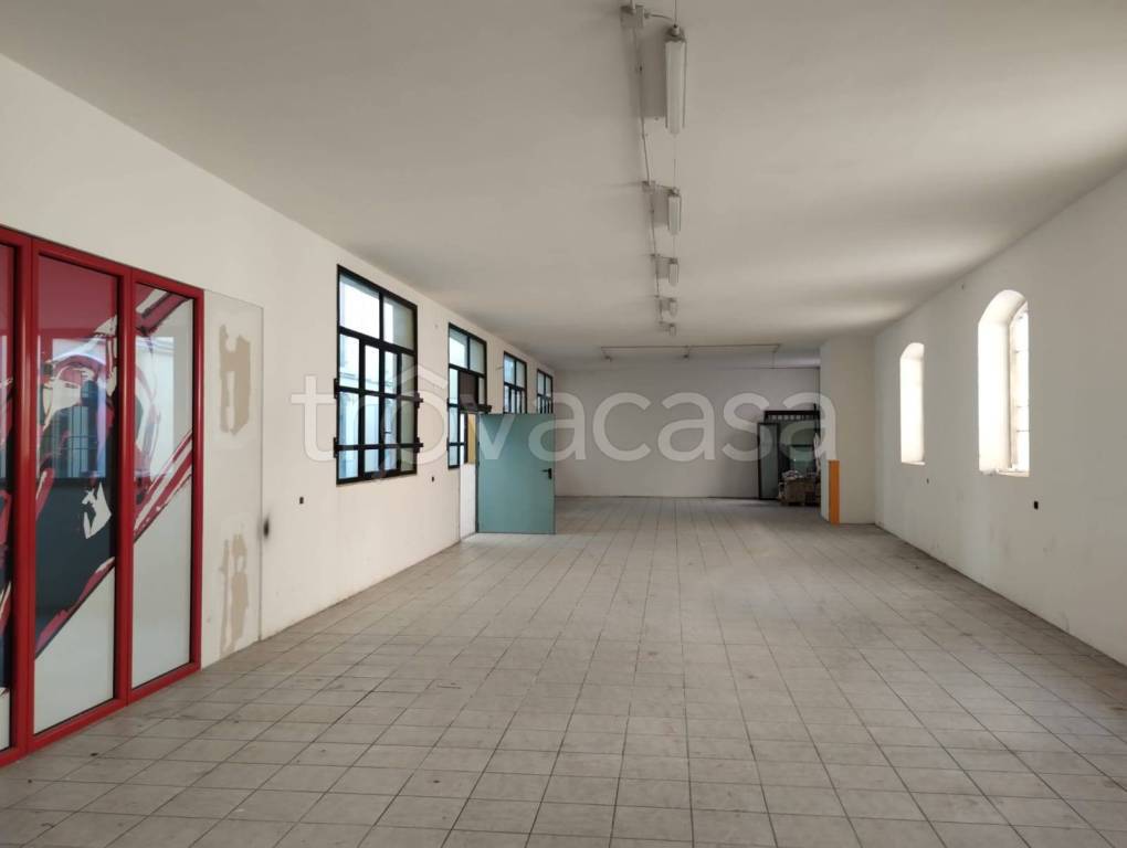 immagine annuncio 9 di 14