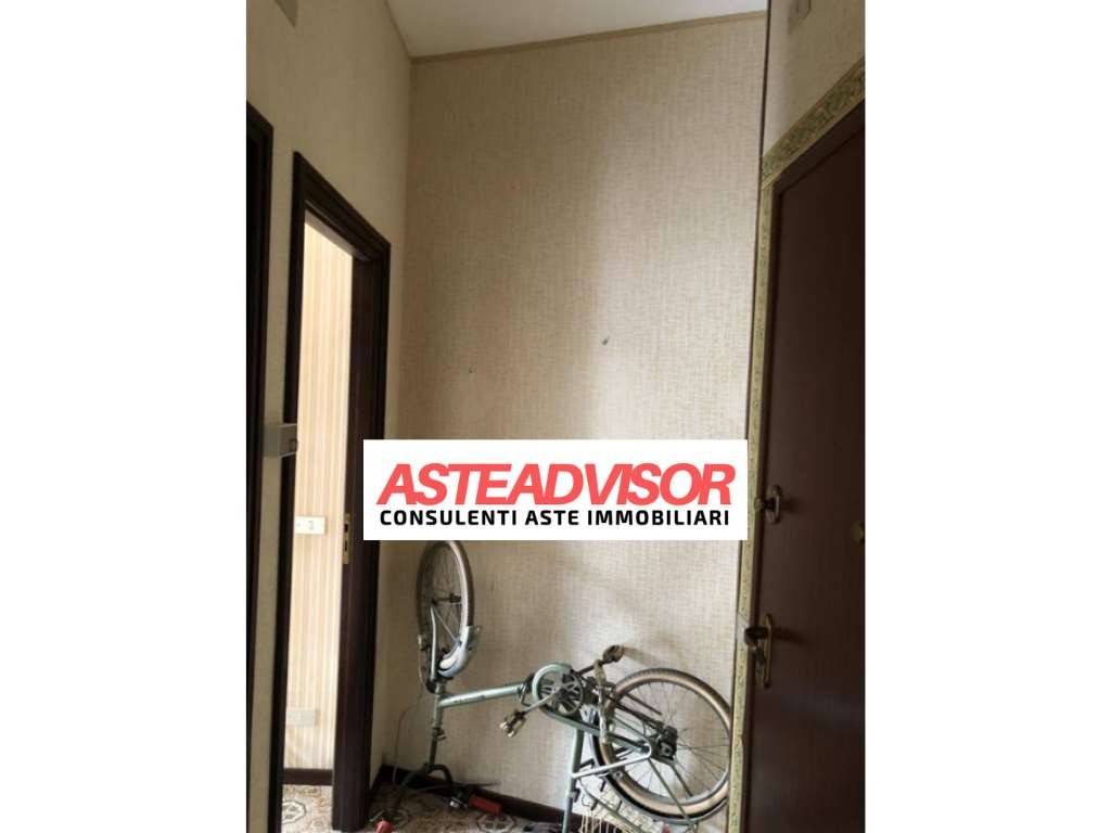 immagine annuncio 4 di 14