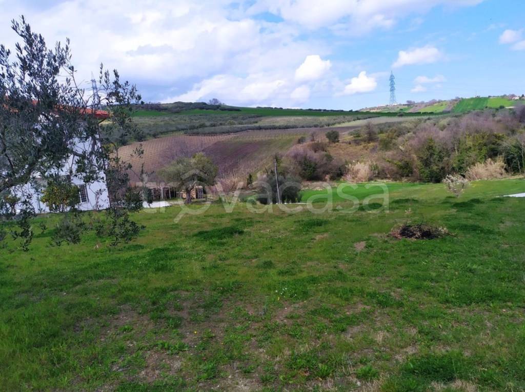 immagine annuncio 3 di 8