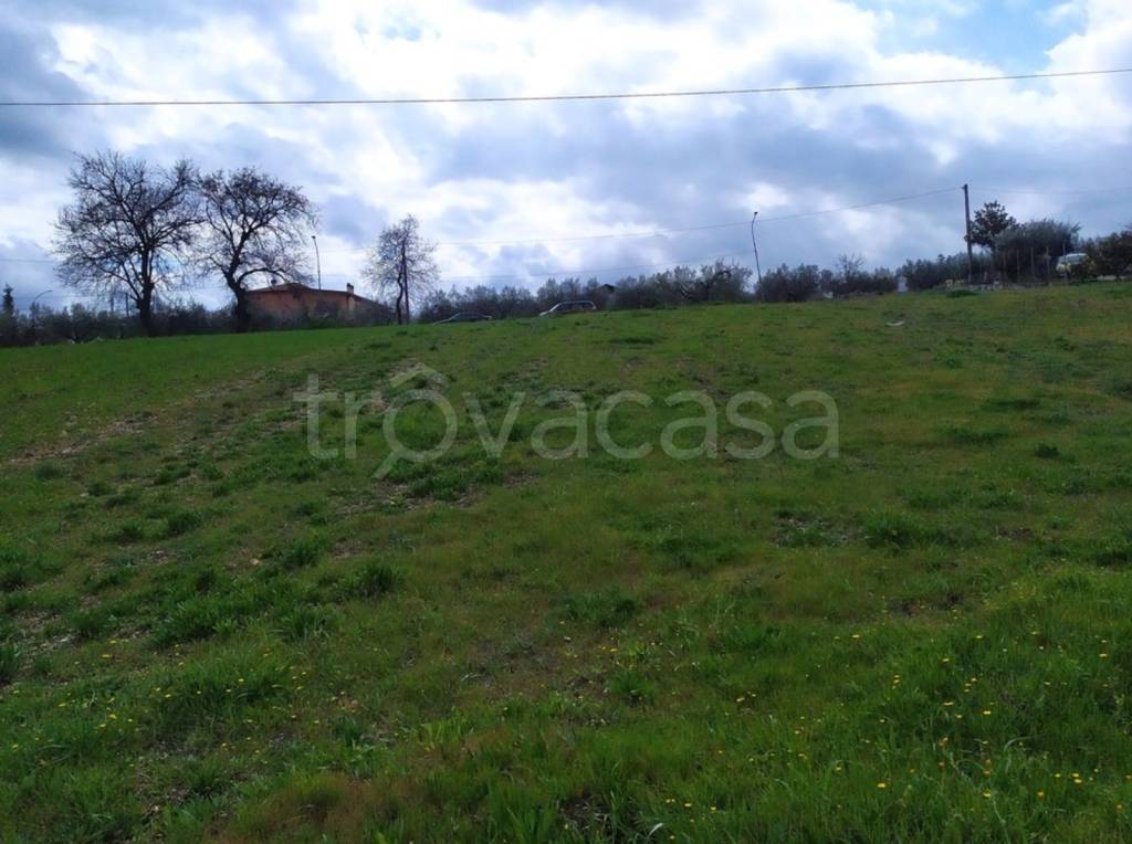 immagine annuncio 6 di 8