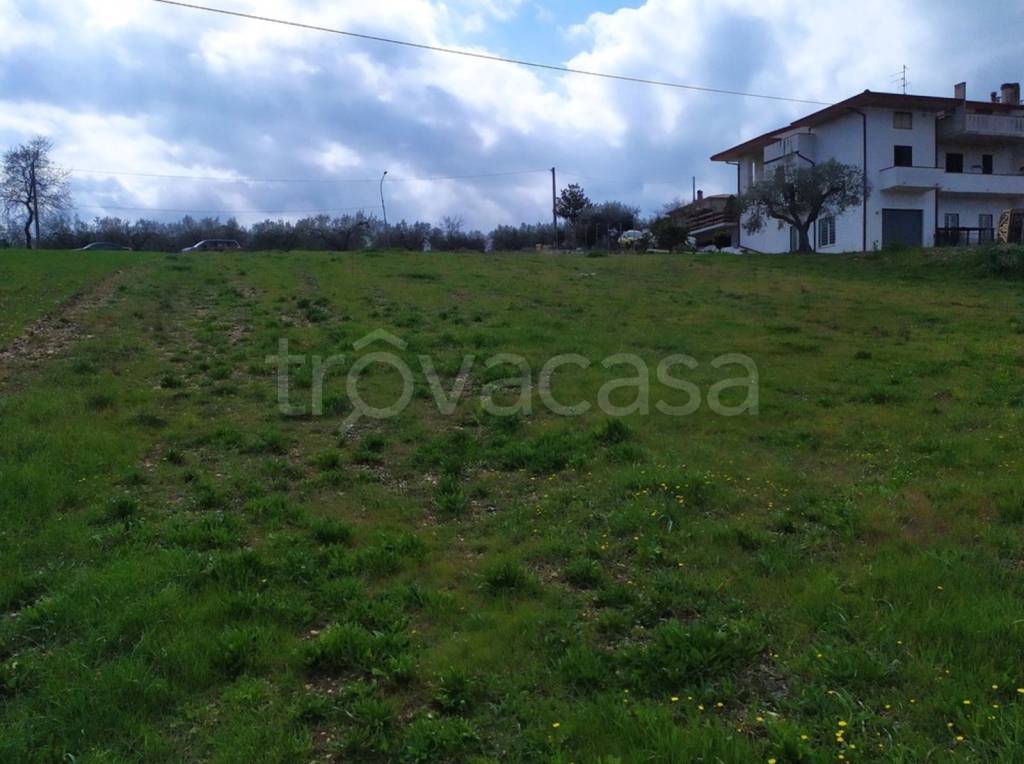 immagine annuncio 7 di 8