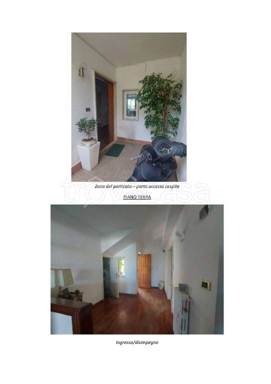 immagine annuncio 6 di 11