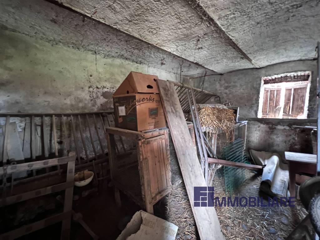 immagine annuncio 4 di 12