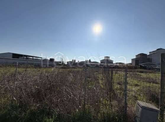 immagine annuncio 2 di 11