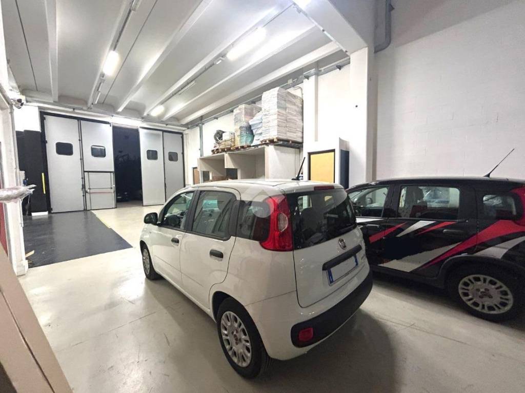 immagine annuncio 8 di 15