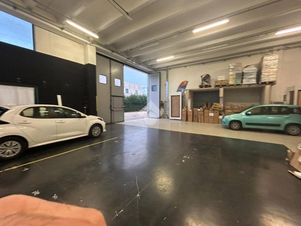 immagine annuncio 9 di 15