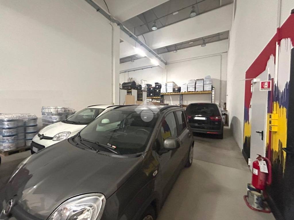 immagine annuncio 11 di 15