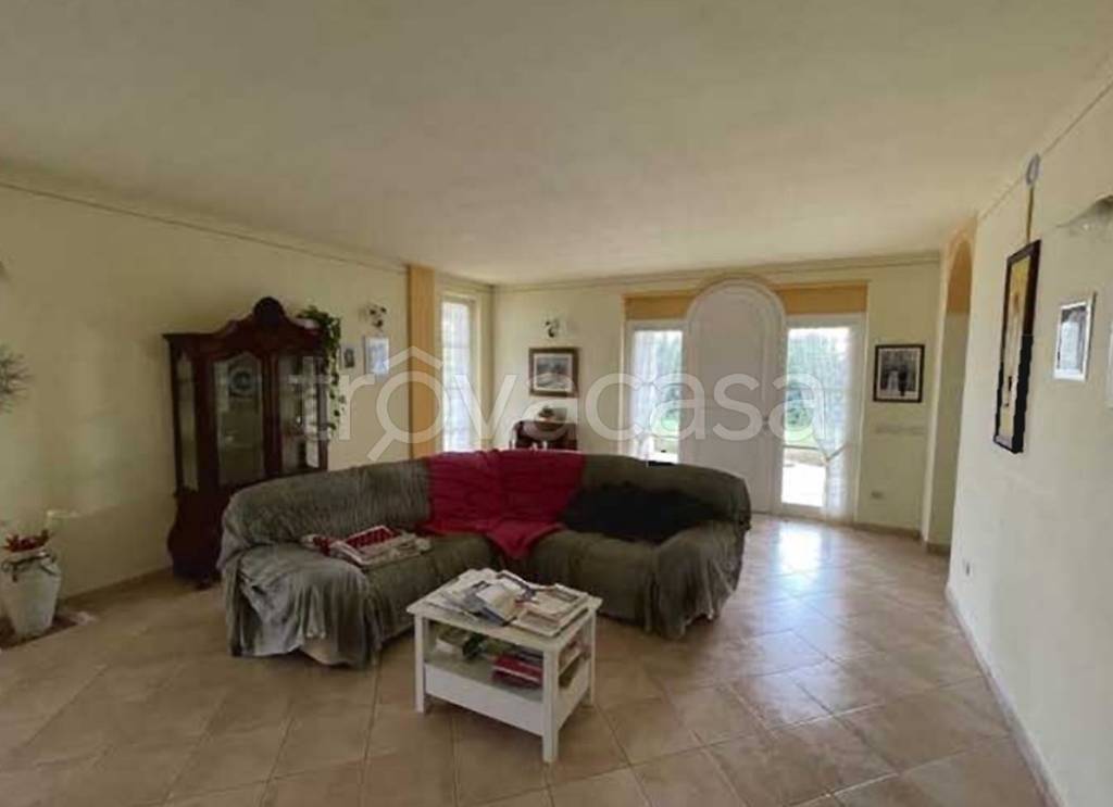 immagine annuncio 4 di 14