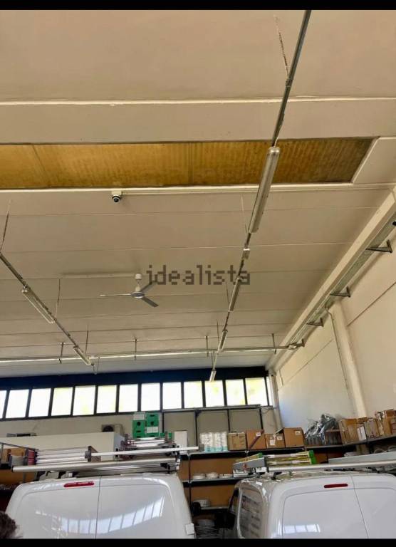 immagine annuncio 6 di 8