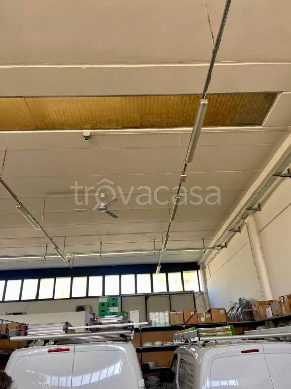 immagine annuncio 7 di 8