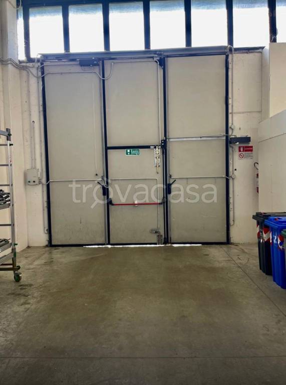 immagine annuncio 4 di 8