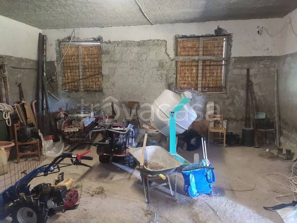 immagine annuncio 12 di 13