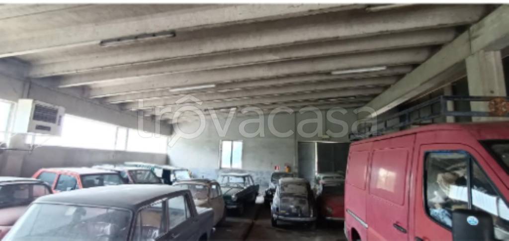 immagine annuncio 1 di 11