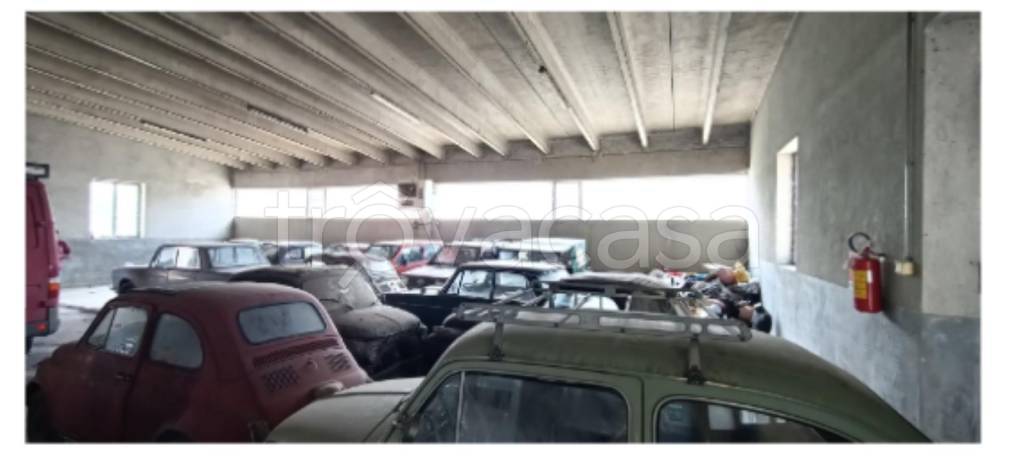 immagine annuncio 2 di 11