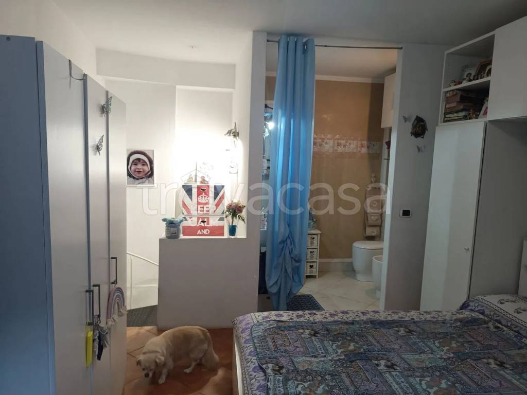 immagine annuncio 7 di 12