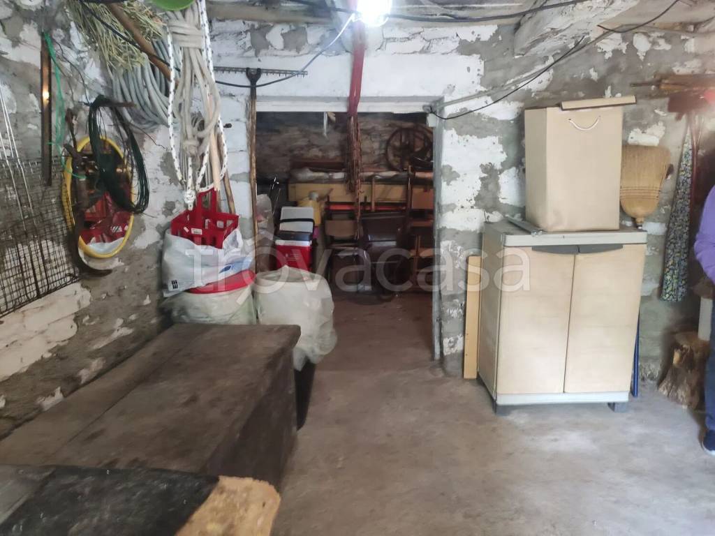 immagine annuncio 9 di 14