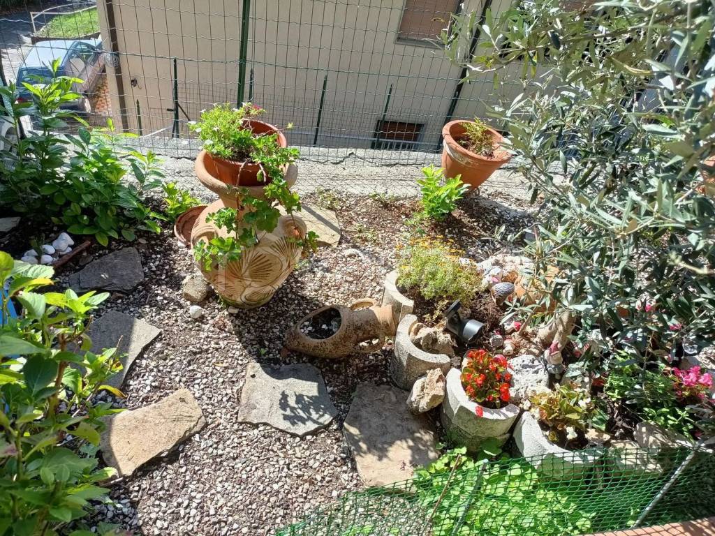 immagine annuncio 2 di 12