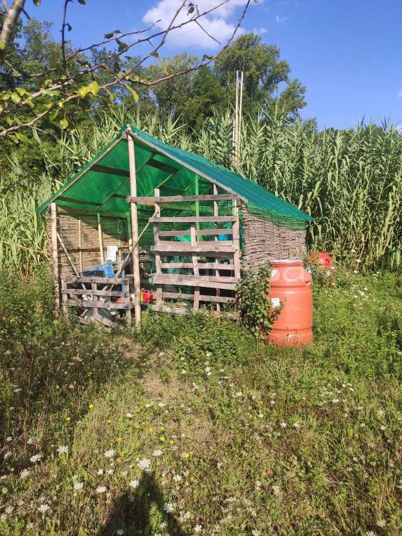 immagine annuncio 12 di 15